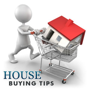 Buying Real Estate Guidelines